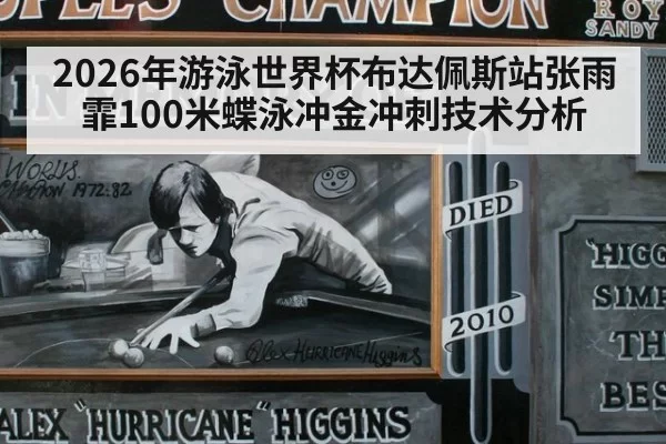 2026年游泳世界杯布达佩斯站张雨霏100米蝶泳冲金冲刺技术分析
